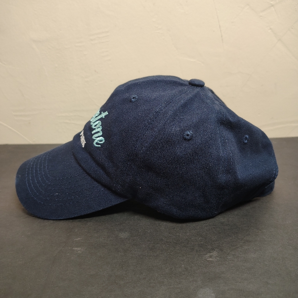 Yellowstone National Park Salt Creek Hat Cap Strap Back Embroidered Script Logo‎ - Picture 3 of 9